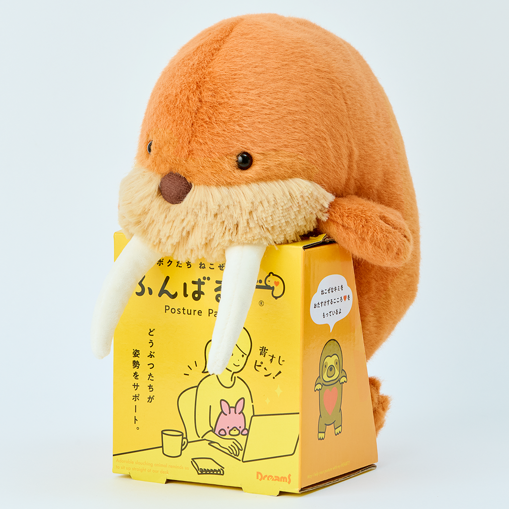 Image shows brown and white Walrus Posture Pal in its yellow cardboard packaging which shows the product name in both English and Japanese as well as a cartoon image of a female sitting with a Posture Pal at her desk. The image is set on a white background. 