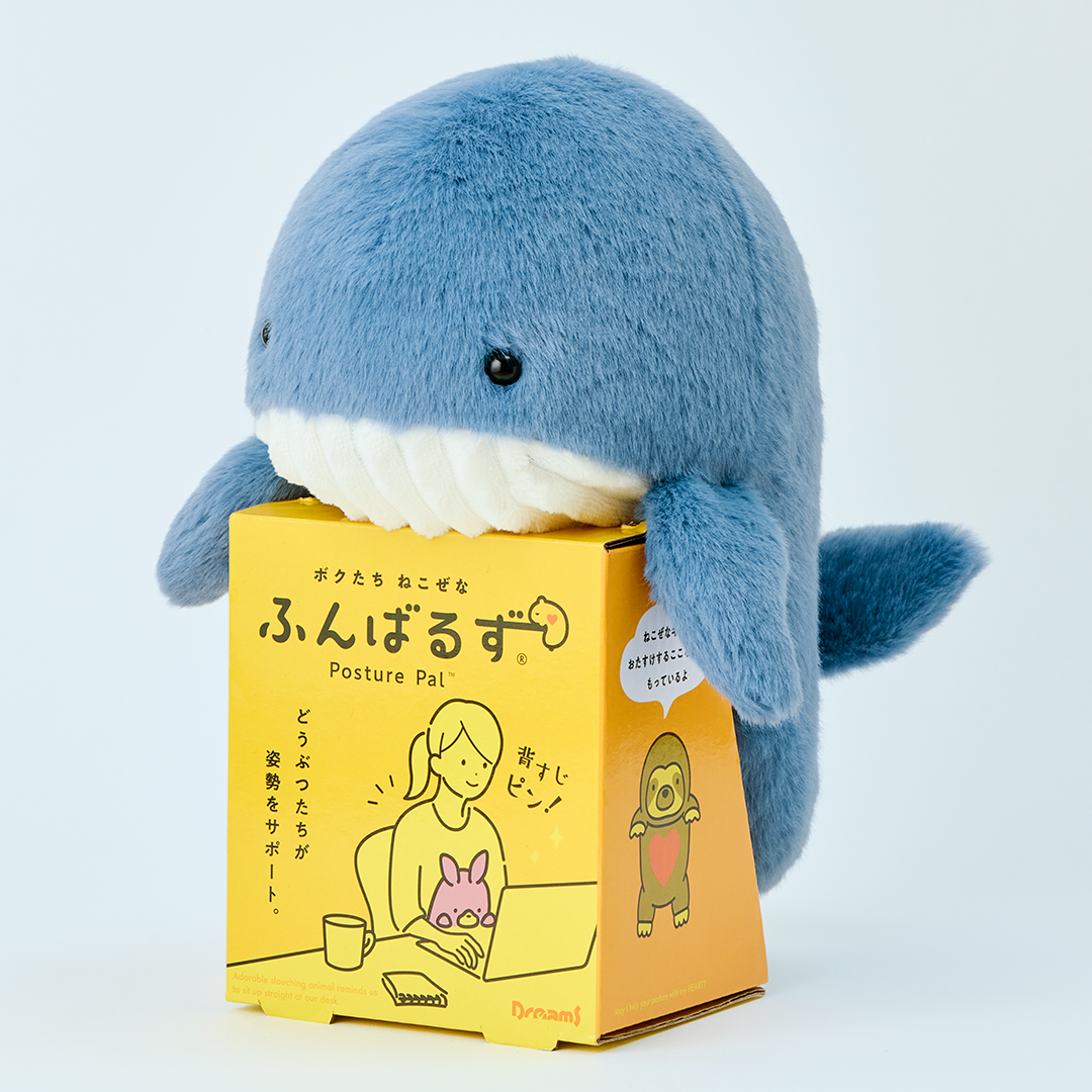 Image shows blue and white Whale Posture Pal in its yellow cardboard packaging which shows the product name in both English and Japanese as well as a cartoon image of a female sitting with a Posture Pal at her desk. The image is set on a white background. 
