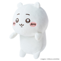 transparent product image of CHIIKAWA posture pal