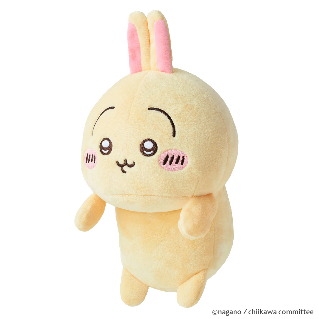 transparent product image of USAGI posture pal