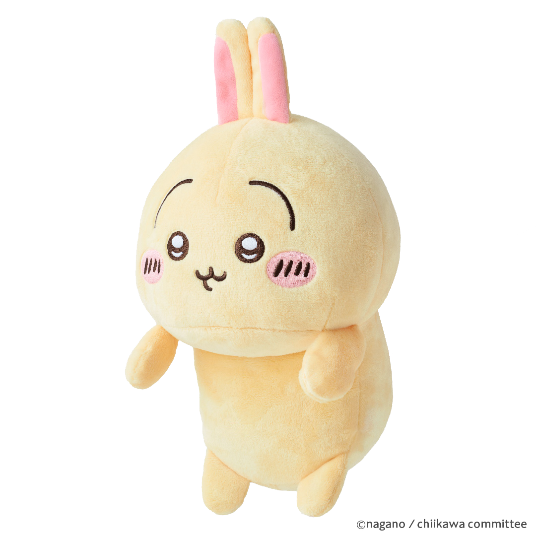 transparent product image of USAGI posture pal