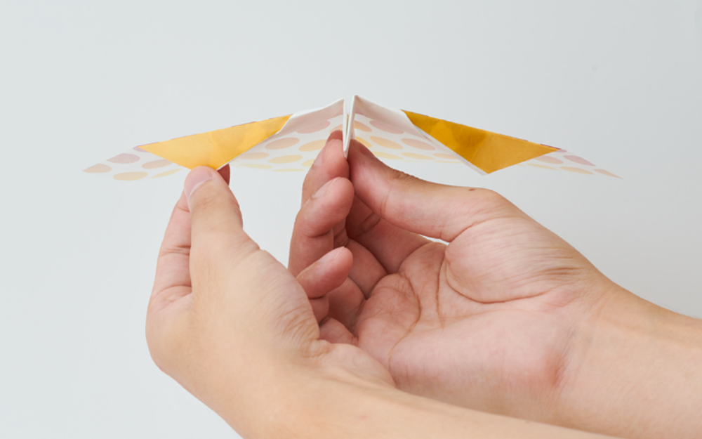 two hands holding a papillon origiami airplane against a while background showcasing the tail flaps