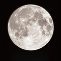 moon illustration